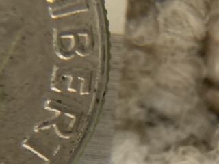 Roosevelt-Dime-1964-D-Doubled-Die-Obverse-Ber-Liberty
